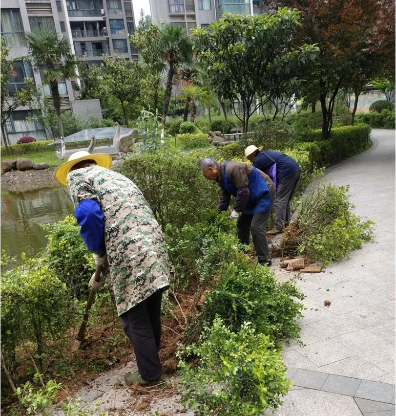 物業綠化